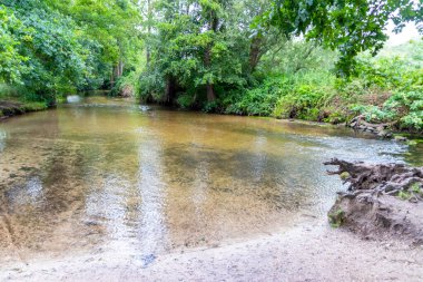 Su kristal berrak su ile sakin bir dere ve deniz yolu boyunca yürüyüş yapmak için cennet manzarası. Yeşil bir orman ve temiz havası olan manzaralı vahşi doğanın tadını çıkarmak için.