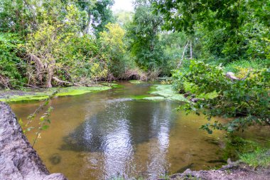 Su kristal berrak su ile sakin bir dere ve deniz yolu boyunca yürüyüş yapmak için cennet manzarası. Yeşil bir orman ve temiz havası olan manzaralı vahşi doğanın tadını çıkarmak için.