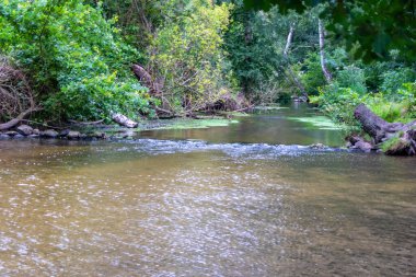 Su kristal berrak su ile sakin bir dere ve deniz yolu boyunca yürüyüş yapmak için cennet manzarası. Yeşil bir orman ve temiz havası olan manzaralı vahşi doğanın tadını çıkarmak için.
