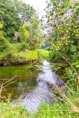 Su kristal berrak su ile sakin bir dere ve deniz yolu boyunca yürüyüş yapmak için cennet manzarası. Yeşil bir orman ve temiz havası olan manzaralı vahşi doğanın tadını çıkarmak için.