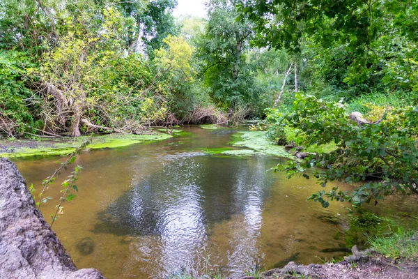 Su kristal berrak su ile sakin bir dere ve deniz yolu boyunca yürüyüş yapmak için cennet manzarası. Yeşil bir orman ve temiz havası olan manzaralı vahşi doğanın tadını çıkarmak için.