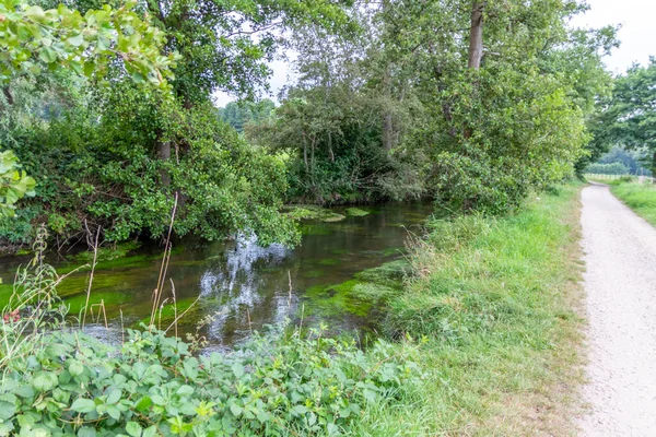 Calme Ruisseau Flottant Avec Des Eaux Cristallines Des Paysages Idylliques — Photo