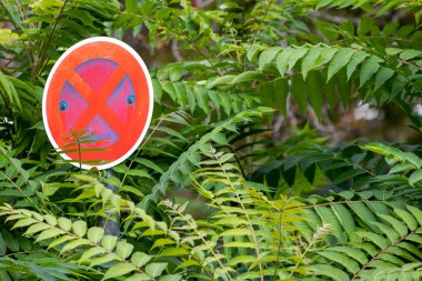 Otoparkta park bilgisi almak için neredeyse ormandaki yeşil çalılıklara park etmek yasaktır. Tüm araçlar için yasak.