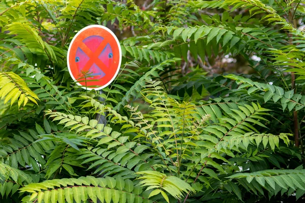 駐車場情報のための都市駐車場でジャングルの中に隠された緑の茂みの中の駐車標識は すべての車のためにこの場所では禁止されています — ストック写真