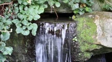 Ferahlatıcı fıskiyeden gelen küçük şelale, cennetin nehir kıyısından akan huzurlu bir manzara ve zen meditasyon ve rahatlama için meditasyon yapan bir bahçe havuzu.