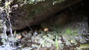Ferahlatıcı fıskiyeden gelen küçük şelale, cennetin nehir kıyısından akan huzurlu bir manzara ve zen meditasyon ve rahatlama için meditasyon yapan bir bahçe havuzu.