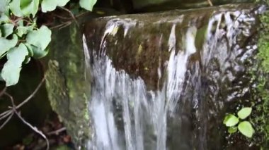 Ferahlatıcı fıskiyeden gelen küçük şelale, cennetin nehir kıyısından akan huzurlu bir manzara ve zen meditasyon ve rahatlama için meditasyon yapan bir bahçe havuzu.