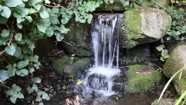 穏やかな景色としての清々しい噴水からの小さな滝 禅の瞑想のための楽園と瞑想的な庭の池のウォーターフロントを流れる庭園の自然の中でリラックスしたりストレスリリーフ — ストック動画