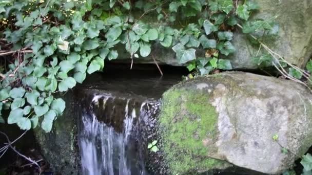 穏やかな景色としての清々しい噴水からの小さな滝 禅の瞑想のための楽園と瞑想的な庭の池のウォーターフロントを流れる庭園の自然の中でリラックスしたりストレスリリーフ — ストック動画