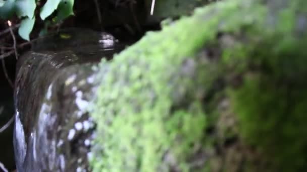 Piccola Cascata Fontana Rinfrescante Come Scenario Tranquillo Con Scorrevole Lungomare — Video Stock