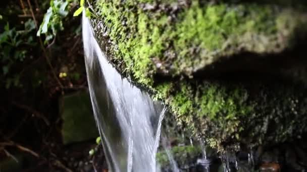 Kleiner Wasserfall Aus Erfrischendem Brunnen Als Friedliche Kulisse Mit Fließendem — Stockvideo