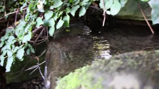 Kis Vízesés Frissítő Szökőkút Mint Békés Táj Áramló Vízparti Paradicsom — Stock videók
