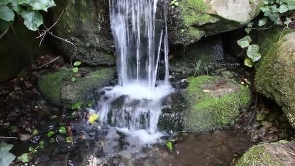 Air Terjun Kecil Dari Air Mancur Penyegaran Sebagai Pemandangan Damai — Stok Video