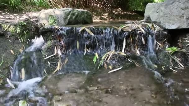 Kalm Stromend Rivierwater Raakt Kustrotsen Een Rotsachtig Strand Aan Een — Stockvideo