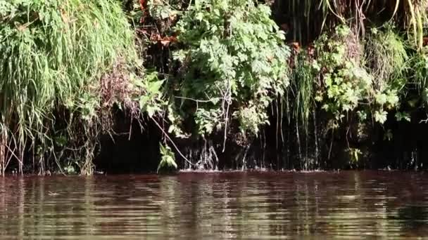 Kalm Stromend Rivierwater Raakt Kustrotsen Een Rotsachtig Strand Aan Een — Stockvideo