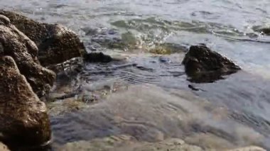 Taşlar ve kayalarla yüzen sakin büyük bir nehir ve temiz su ve sakin bir manzaraya sahip doğal bir çevre ile meditasyon turu veya kıyıda dinlendirici meditasyonla birlikte su turizmi
