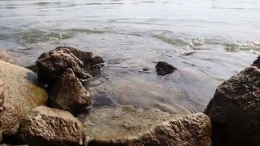 Taşlar ve kayalarla yüzen sakin büyük bir nehir ve temiz su ve sakin bir manzaraya sahip doğal bir çevre ile meditasyon turu veya kıyıda dinlendirici meditasyonla birlikte su turizmi