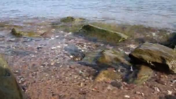Спокойная Плавающая Большая Река Камнями Скалами Природной Средой Чистой Водой — стоковое видео