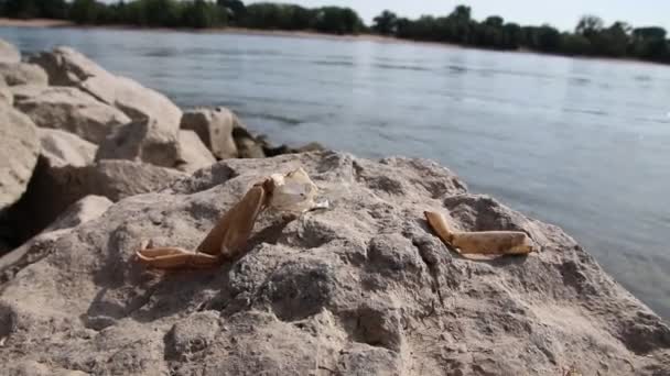 Ruhiger Schwimmender Großer Fluss Mit Steinen Und Felsen Und Eine — Stockvideo