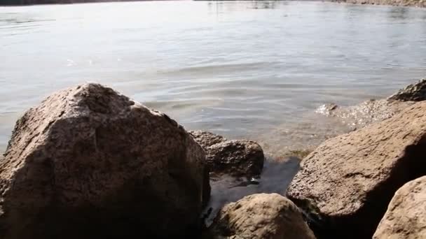Calme Flottant Grande Rivière Avec Des Pierres Des Rochers Environnement — Video