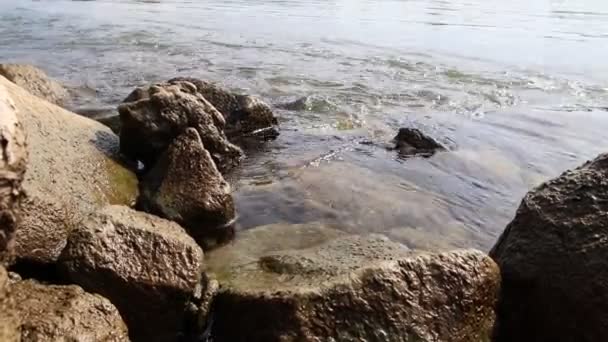 Río Grande Flotante Tranquilo Con Piedras Rocas Ambiente Natural Con — Vídeos de Stock