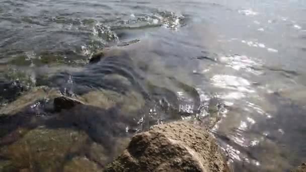 Ruhiger Schwimmender Großer Fluss Mit Steinen Und Felsen Und Eine — Stockvideo