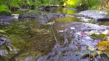 Yaz mevsiminde berrak suyla kayaların üzerinden sakin bir su akıntısı akar. Yeşil nehir kıyıları, ipeksi dalgalar ve dalgalarla rahatlatıcı bir atmosfer ve sakin su gösteriyor.