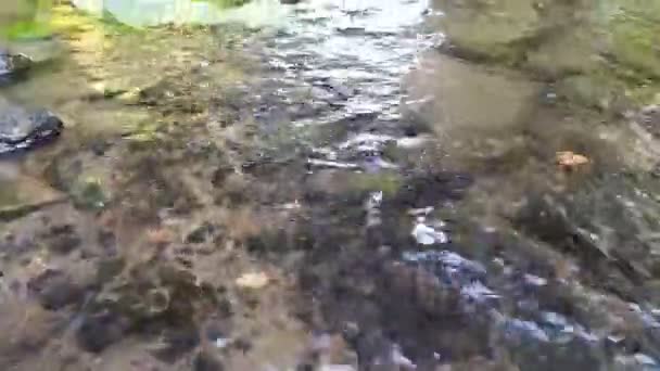 Ηρεμία Ροή Του Νερού Ρεύμα Πάνω Από Βράχους Μέσα Από — Αρχείο Βίντεο