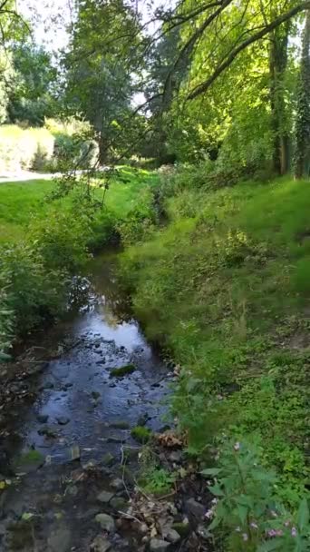 Spokojny Płynący Strumień Wody Nad Skałami Przez Idylliczną Zieloną Naturę — Wideo stockowe