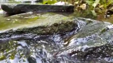 Sakin akan su kayaların üzerinden yavaş çekimde temiz suyla cennetsel yeşil doğada akıyor. Yeşil nehir kıyıları, ipeksi dalgalar ve dalgalarla rahatlatıcı bir atmosfer ve sakin su gösteriyor.