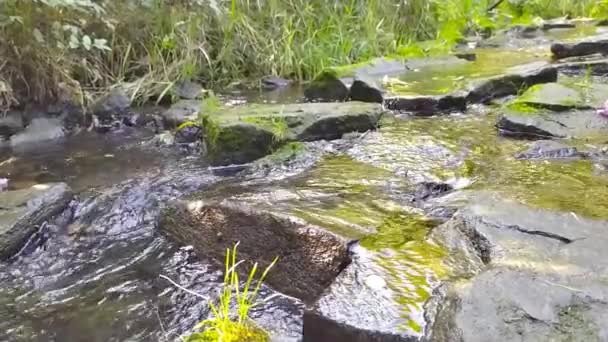 Ruhig Fließendes Wasser Fließt Zeitlupe Über Felsen Durch Idyllische Grüne — Stockvideo