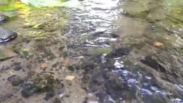 Calma Corriente Agua Que Fluye Sobre Las Rocas Cámara Lenta — Vídeos de Stock