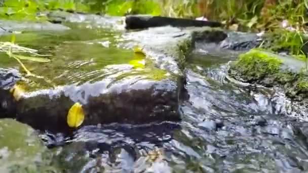 Calmo Fluxo Água Corrente Sobre Rochas Câmera Lenta Através Natureza — Vídeo de Stock