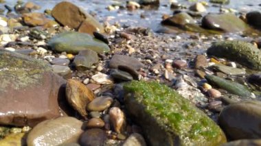 Sakin akan nehir suyu, nehir kıyısındaki kayalık bir sahilde kristal berrak su, küçük dalgalar ve yerde sağlıklı bir çevre ve sağlıklı bir ekosistem olarak yansıyan güzel yansımalarla kayalara çarpar.