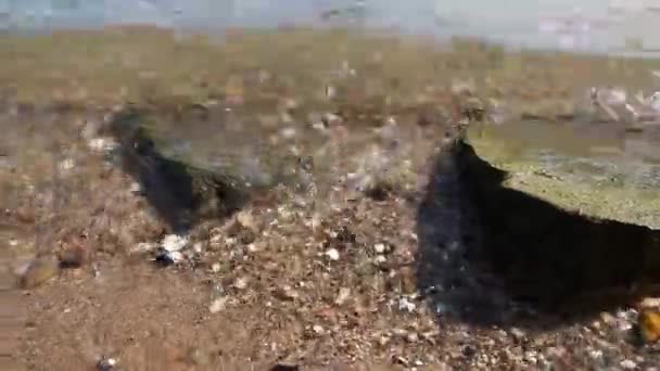 平静流淌的河水冲击着河岸的岩石 河水清澈晶莹 海浪小 地面上反射出健康的环境和健康的生态系统 — 图库视频影像