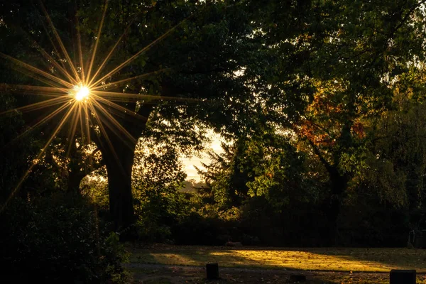 Gyönyörű Napsugarak Keresztül Színes Levelek Kora Reggel Hogy Nap Kezdete — Stock Fotó
