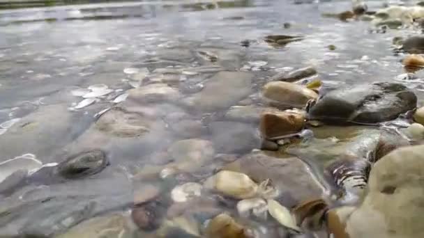 Kalm Stromend Rivierwater Raakt Kustrotsen Een Rotsachtig Strand Aan Een — Stockvideo
