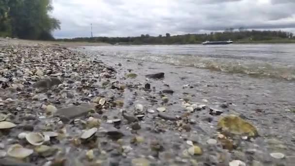 平静流淌的河水冲击着河岸的岩石 河水清澈晶莹 海浪小 地面上反射出健康的环境和健康的生态系统 — 图库视频影像