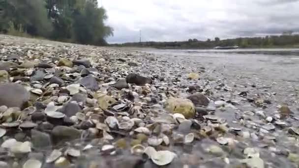 Calm Flowing River Water Hits Shore Rocks Rocky Beach River — Stock Video