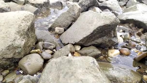 Calm Flowing River Water Hits Shore Rocks Rocky Beach River — Stock Video