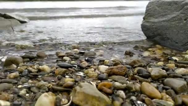 Calm Flowing River Water Hits Shore Rocks Rocky Beach River — Stock Video