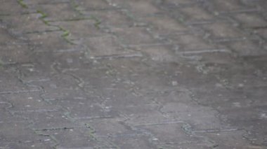 Yağan yağmur damlaları yağmurlu bir sonbahar gününde yağmur damlaları ve sonbahar yağmurlu havayı gösteriyor. Dipsiz bir döngü gibi, yakın ve alçak açılı.