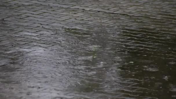 秋天和秋天的雨天 雨滴落在水坑里 这表明街上的潮湿天气就像一幕幕无缝的循环 近景和低视角的景象 — 图库视频影像
