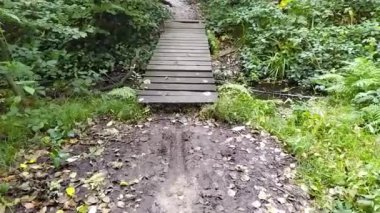 Sonbahar ormanı boyunca yürüyelim. Hasarlı küçük ahşap köprüyü geçelim. Küçük derenin üzerindeki ağaçlar sağlıklı çevrede, temiz hava ve sonbahar mevsiminde ormandaki cennet manzarası yürüyüş turu gibi.