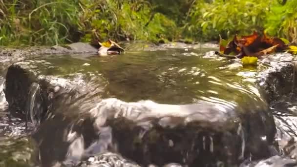 Água Limpa Natural Que Flui Sobre Pedras Rochas Com Musgo — Vídeo de Stock