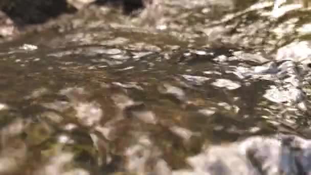 Natürliches Sauberes Wasser Fließt Über Steine Und Felsen Mit Moos — Stockvideo