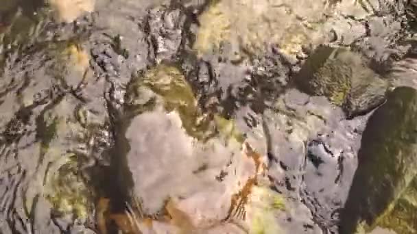 Acqua Setosa Che Scorre Rocce Pietre Con Muschio Increspature Setose — Video Stock