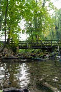 Küçük bir dere ya da orman deresinin üzerindeki eski bir köprünün önündeki küçük baraj. Suda büyük bir dal ve kayalıklar. Sonbahar yaprakları cennet manzaralı.