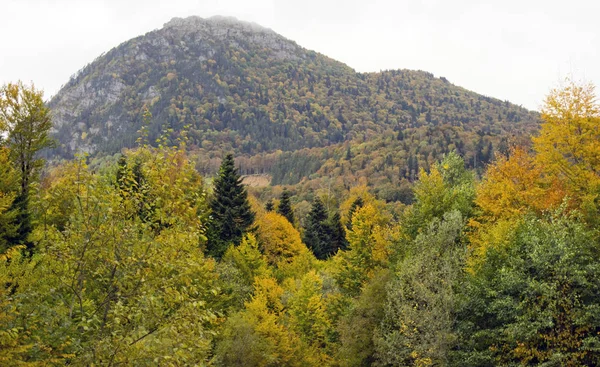 Kaukázusi Rezervátum Adygea Krasznodar Terület Találkozásánál Érintetlen Természet — Stock Fotó