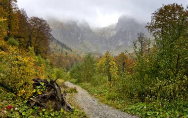 Adigea ve Krasnodar Bölgesi kavşağındaki Kafkas rezervi. Dokunulmamış doğa.